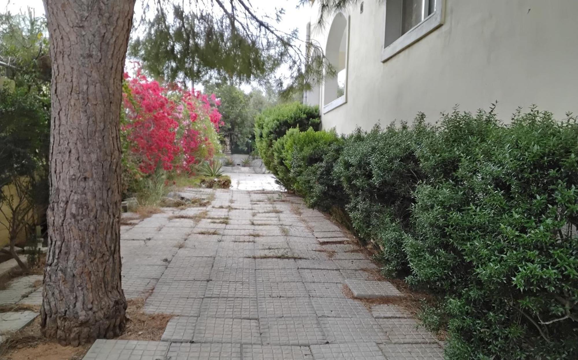 Ferienwohnung Peaceful Oasis Athen Exterior foto