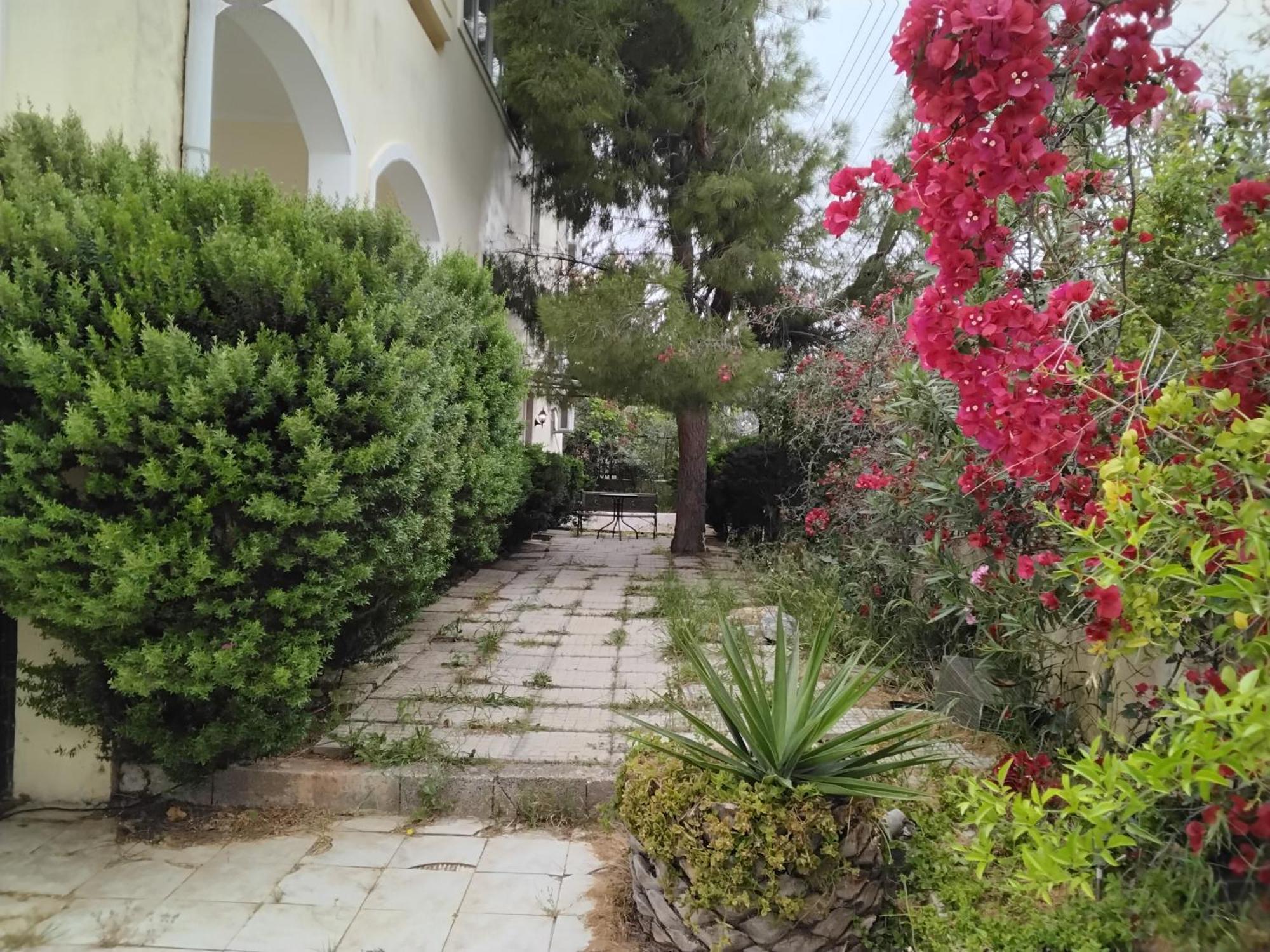 Ferienwohnung Peaceful Oasis Athen Exterior foto